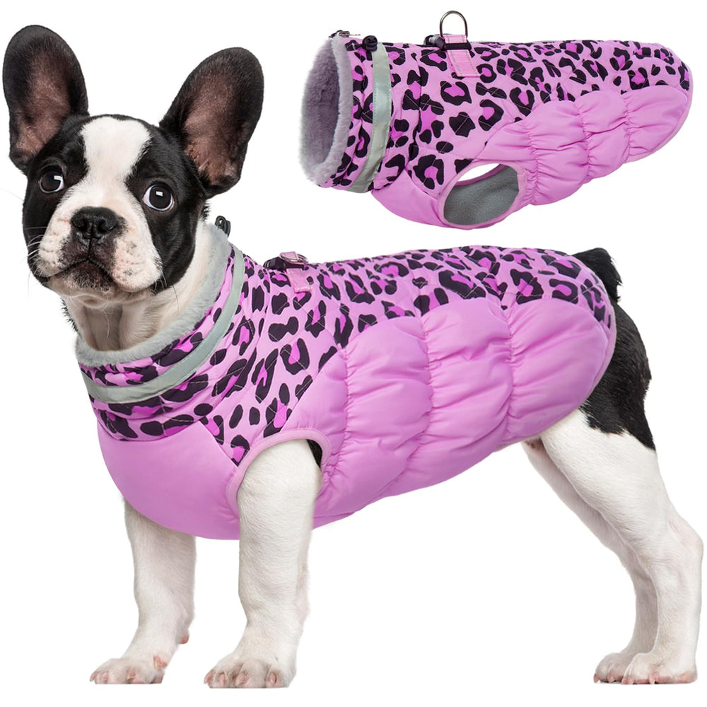 FUAMEY dog jacket shown from the front, displaying its winter coat design.