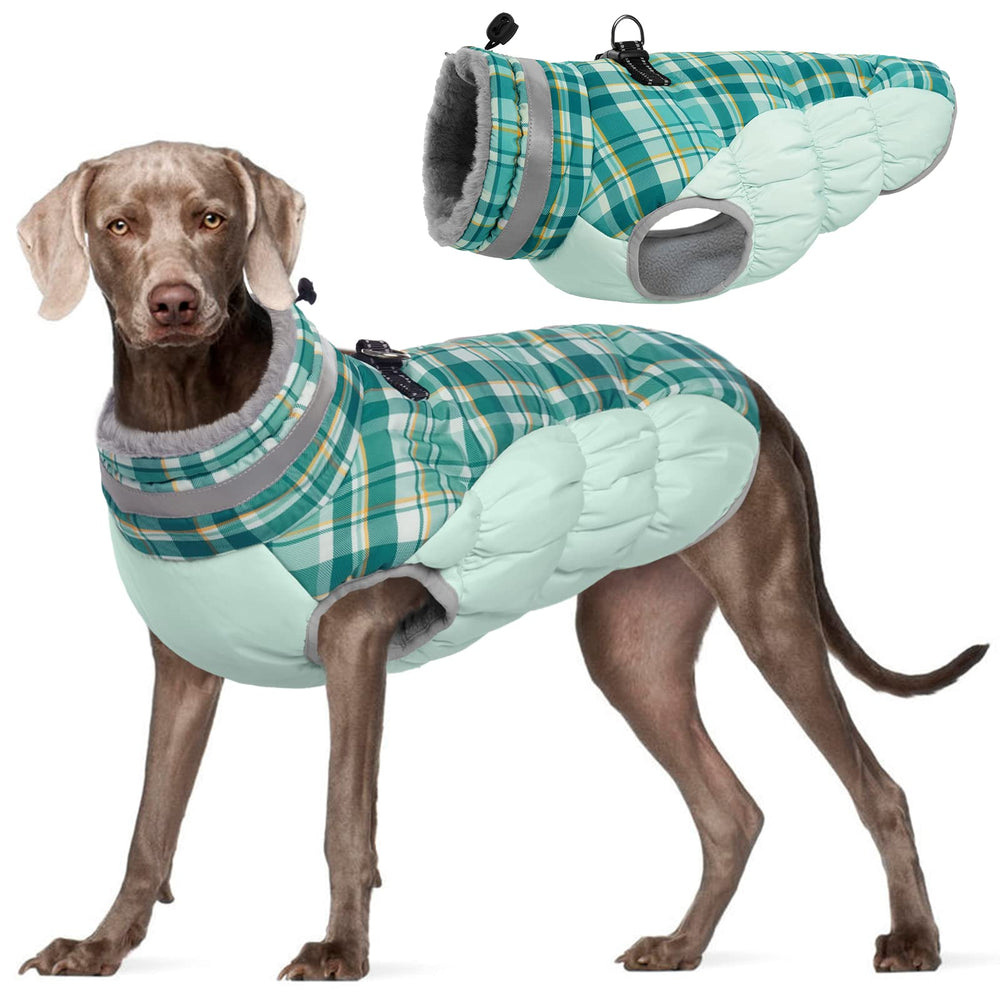 FUAMEY dog jacket shown from the front with its winter coat design.
