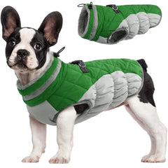 FUAMEY dog jacket shown from the front, highlighting its winter coat design.