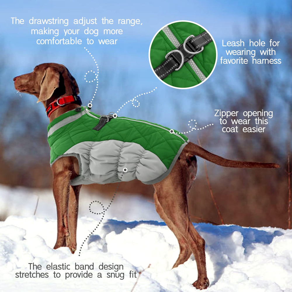 FUAMEY dog jacket two D-rings shown as leash attachment points.