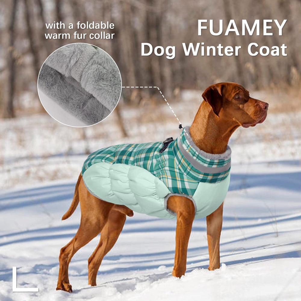 FUAMEY dog jacket built-in harness D-rings shown for leash attachment.