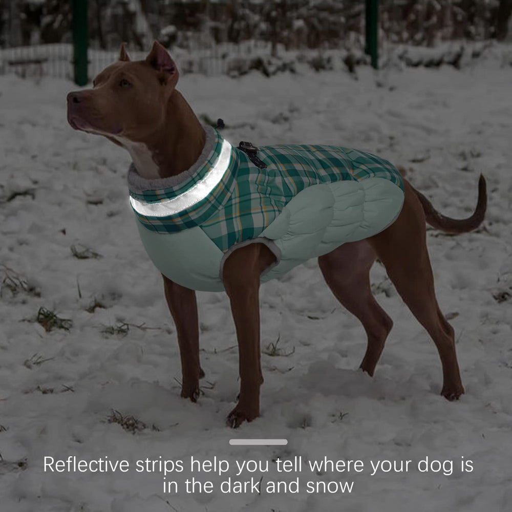 FUAMEY dog jacket reflective strips shown on the coat.
