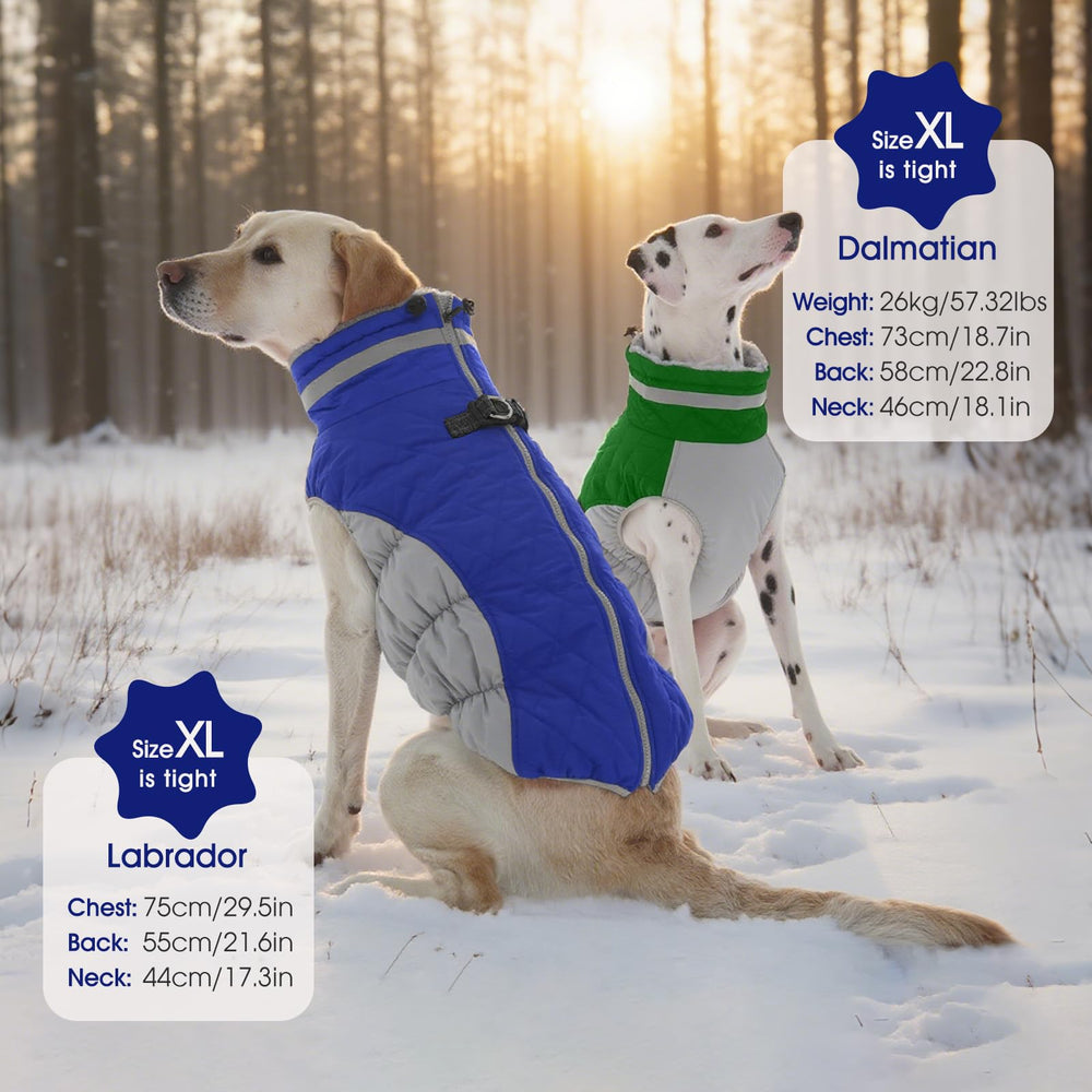 FUAMEY dog jacket close-up showing reflective strips for low-light visibility.