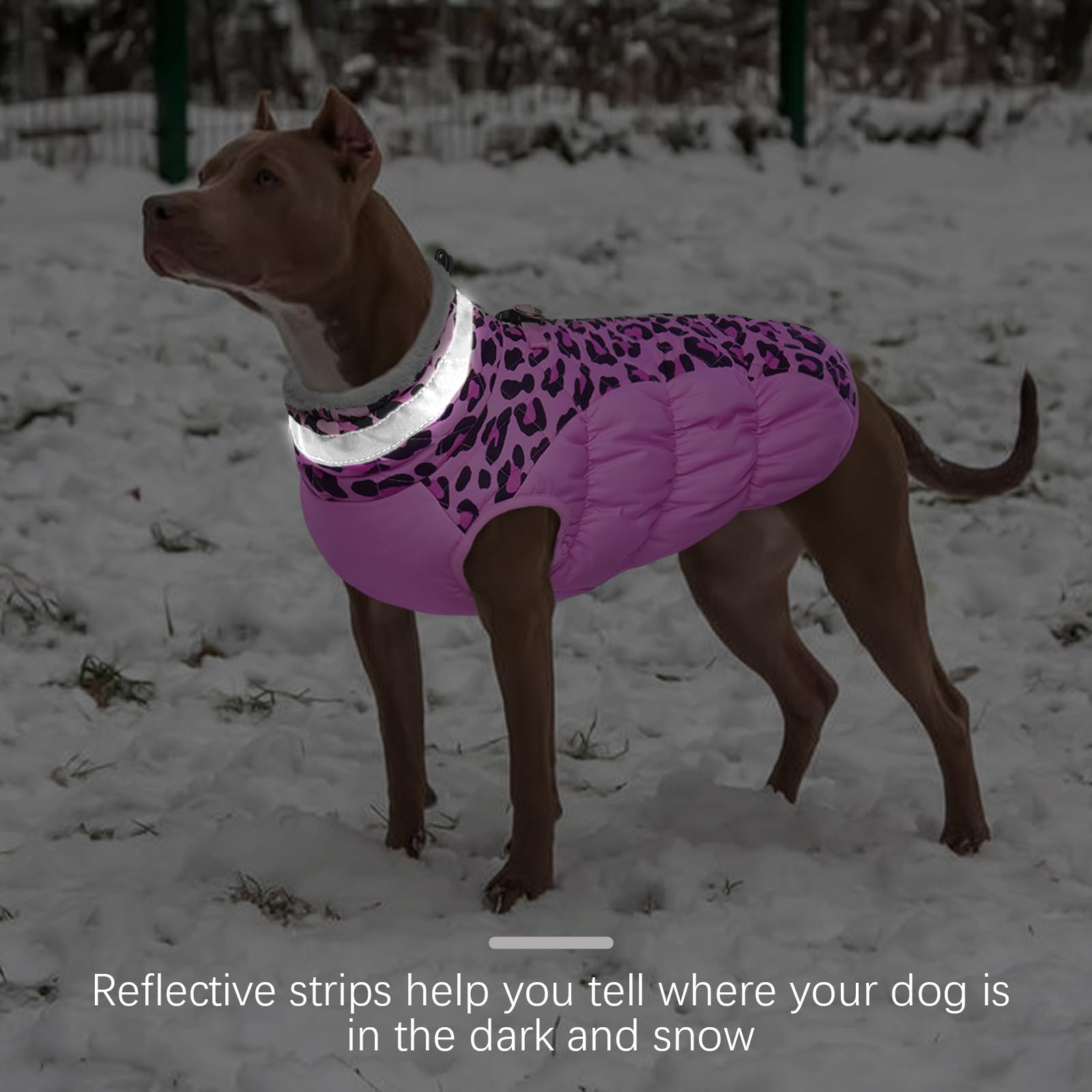 FUAMEY dog jacket close-up of the plush turtleneck collar and adjustable straps.