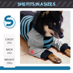 FUAMEY dog recovery sleeve being put on head first, then over the front legs.
