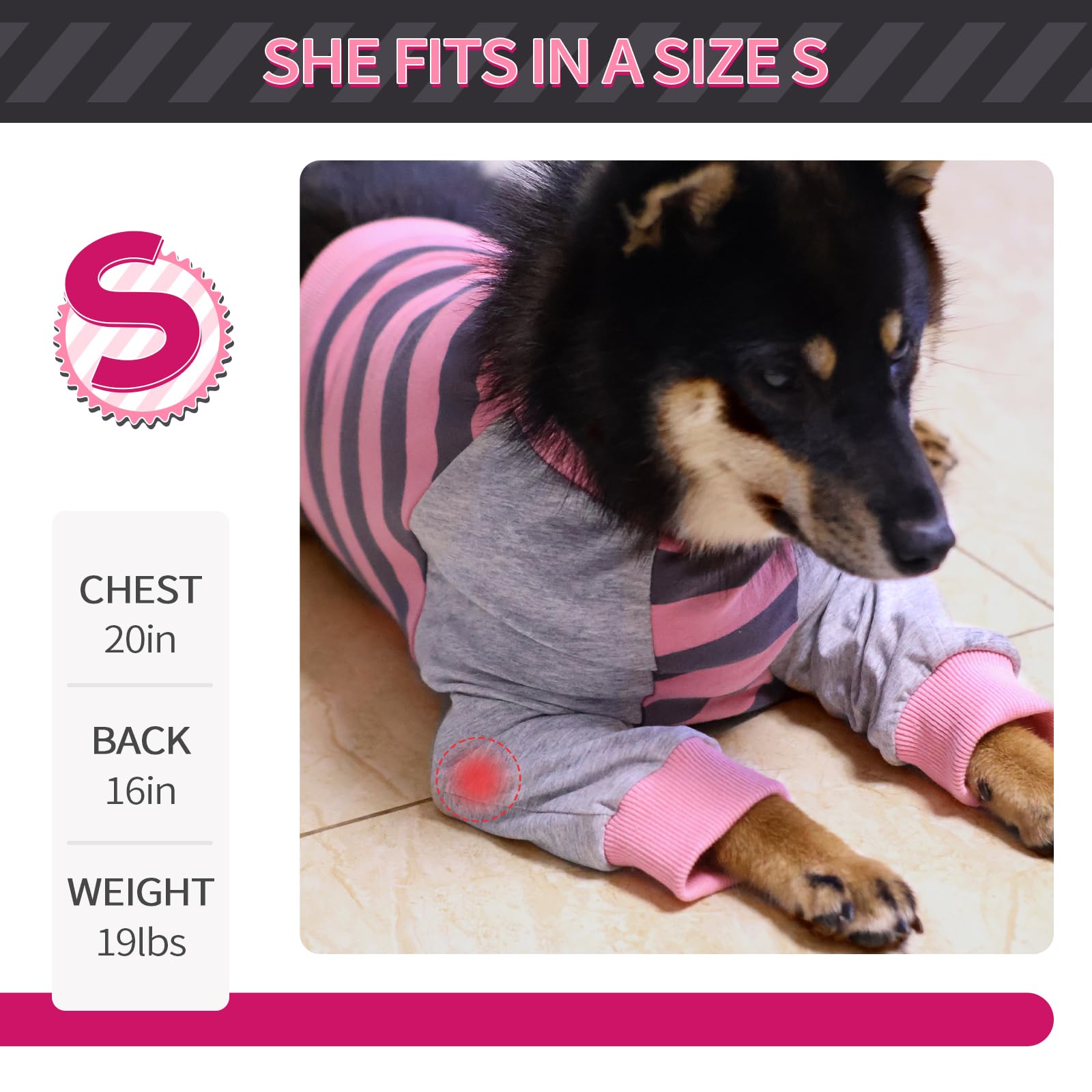 FUAMEY Dog Recovery Sleeve worn by a dog for indoor daily use.