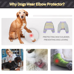 FUAMEY dog recovery sleeve shown being worn, viewed from the front.