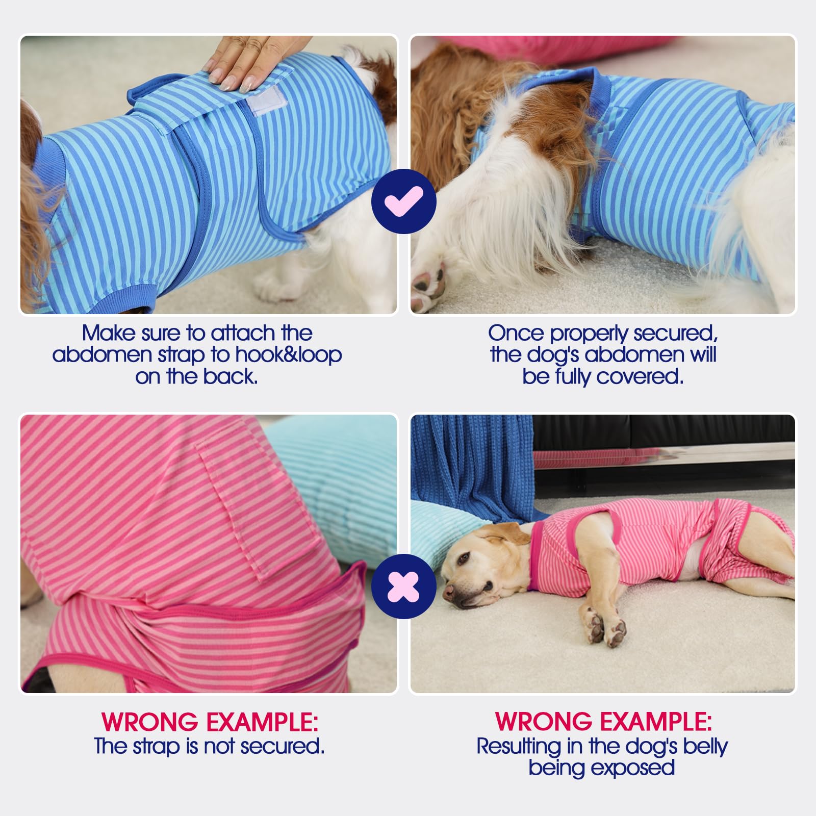 FUAMEY dog recovery suit shown being used with a diaper.