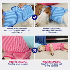 FUAMEY Dog Recovery Suit shown paired with a diaper for a male dog.