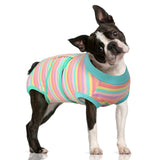 FUAMEY dog recovery suit shown from the front.