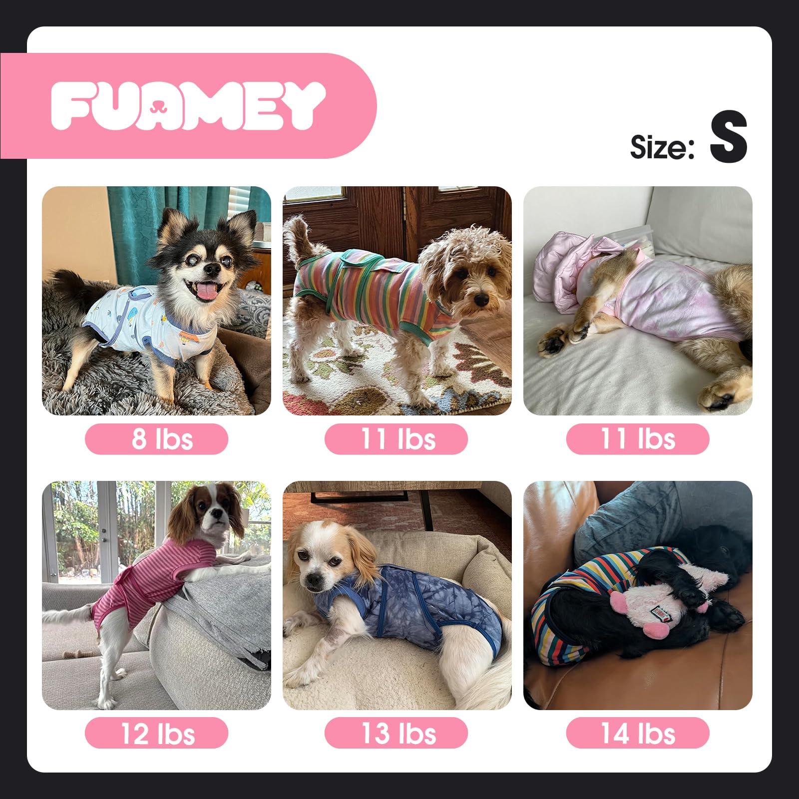 A dog wearing the FUAMEY dog recovery suit.