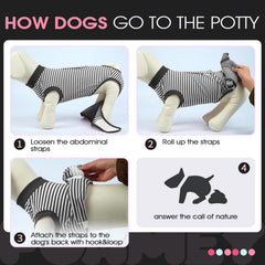 FUAMEY Dog Recovery Suit worn by a dog.