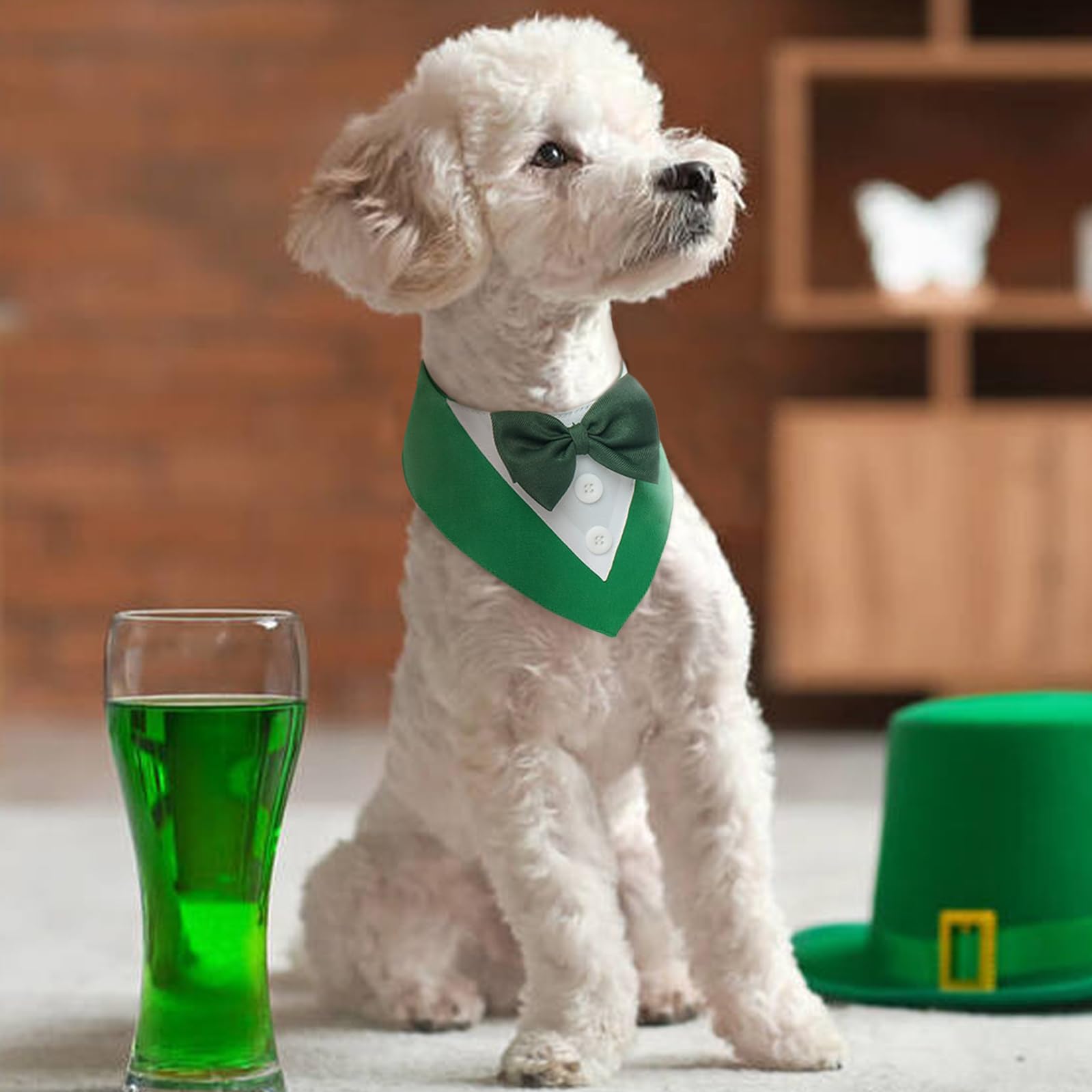 FUAMEY dog tuxedo in green St. Patrick’s Day styling.