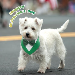 FUAMEY dog tuxedo worn around a dog’s neck for a dressed-up look.