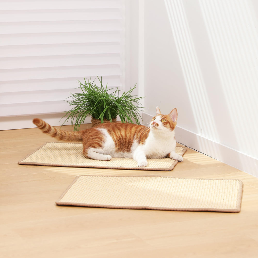 FUKUMARU Cat Scratching Mat arranged as a cat resting area.