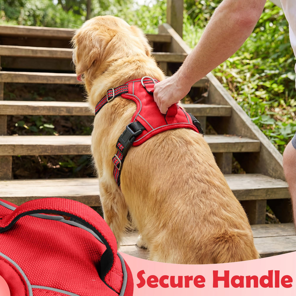 Funfox dog harness showing its adjustable straps.
