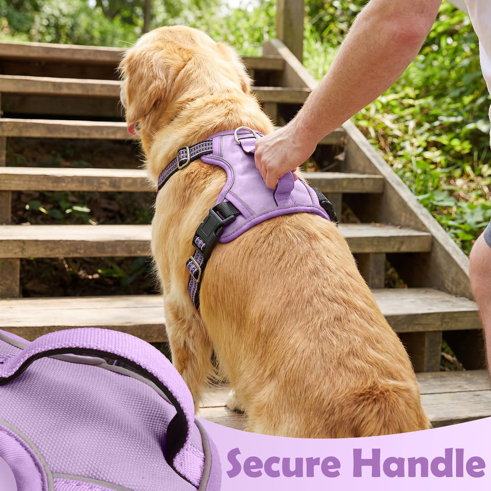 Funfox dog harness adjustable straps shown in detail.