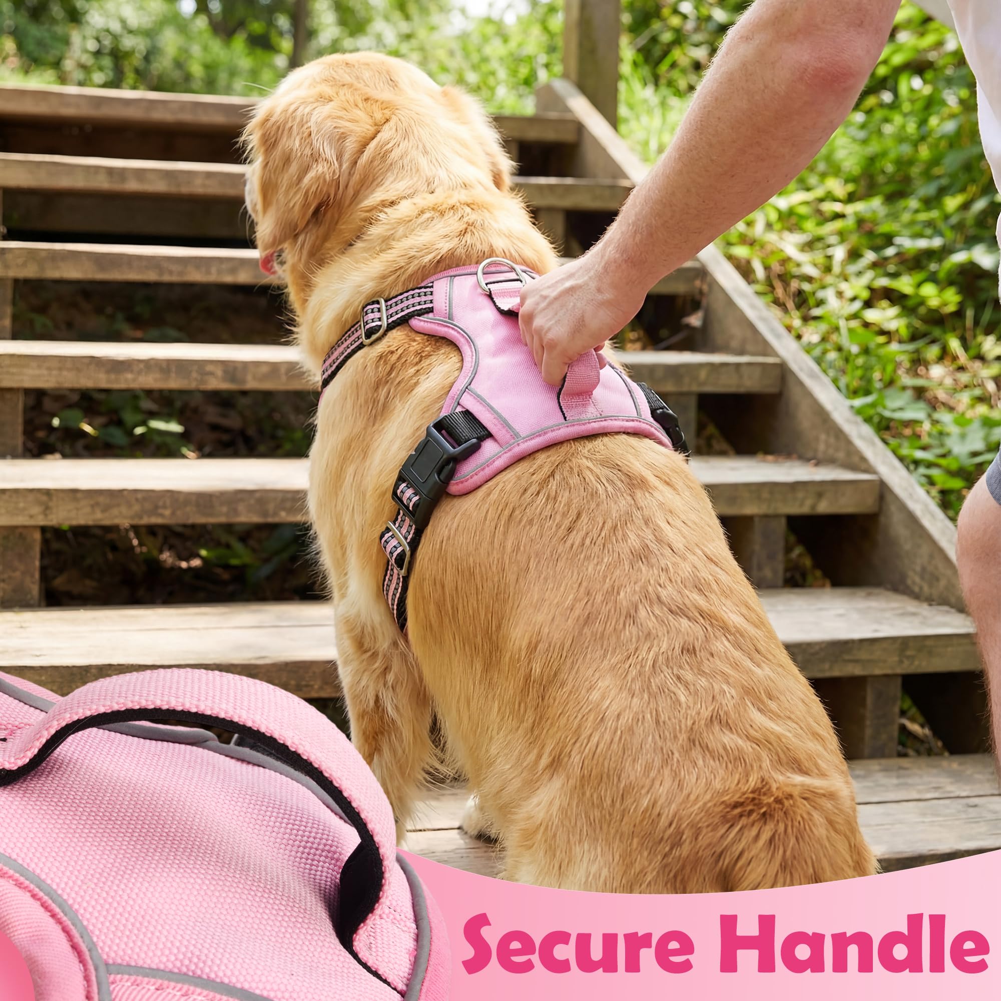 Funfox Dog Harness detail showing its adjustable straps.