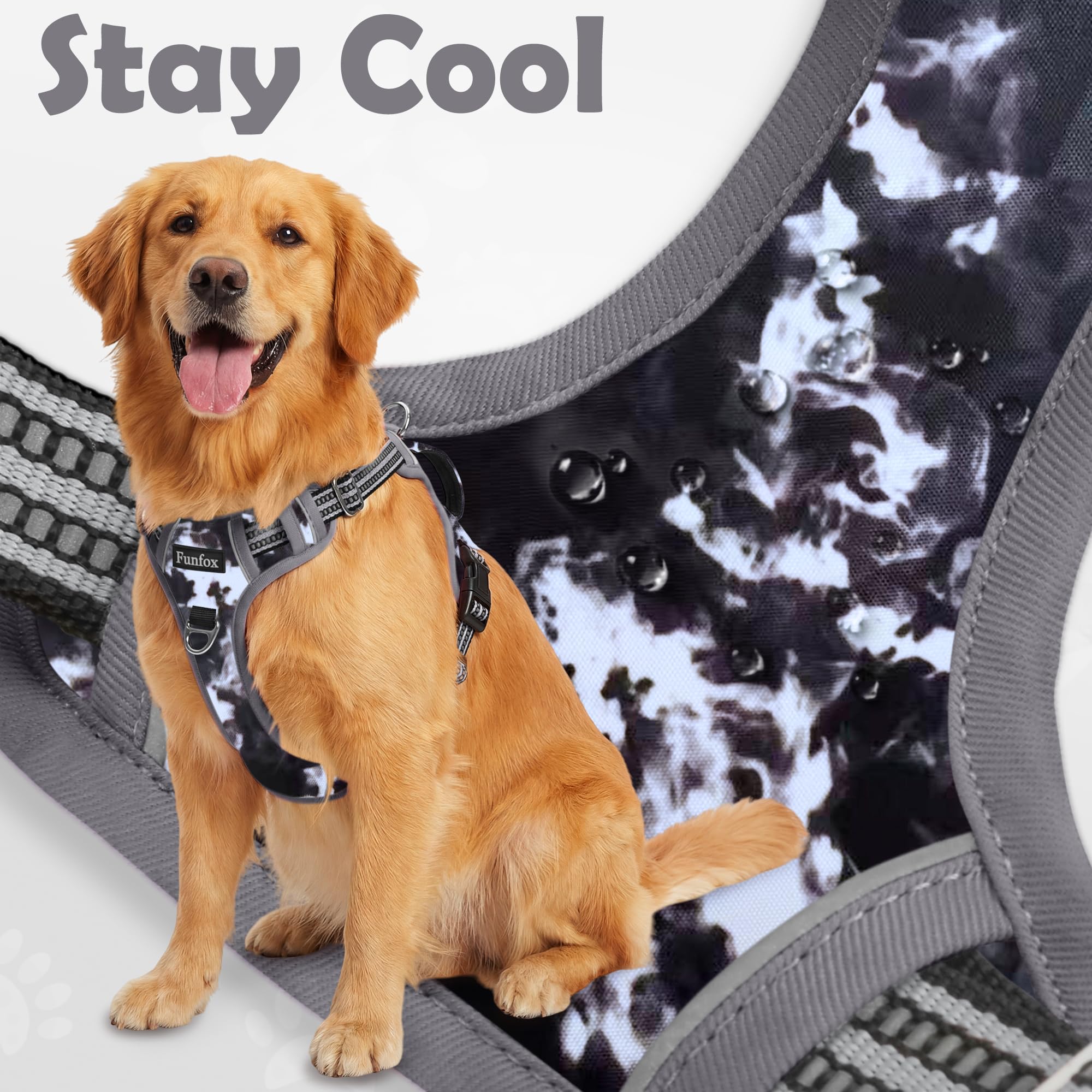 Funfox dog harness adjustable straps shown close up.