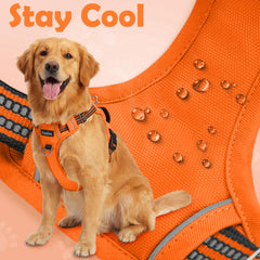 Funfox dog harness showing its adjustable straps and quick-release buckles.