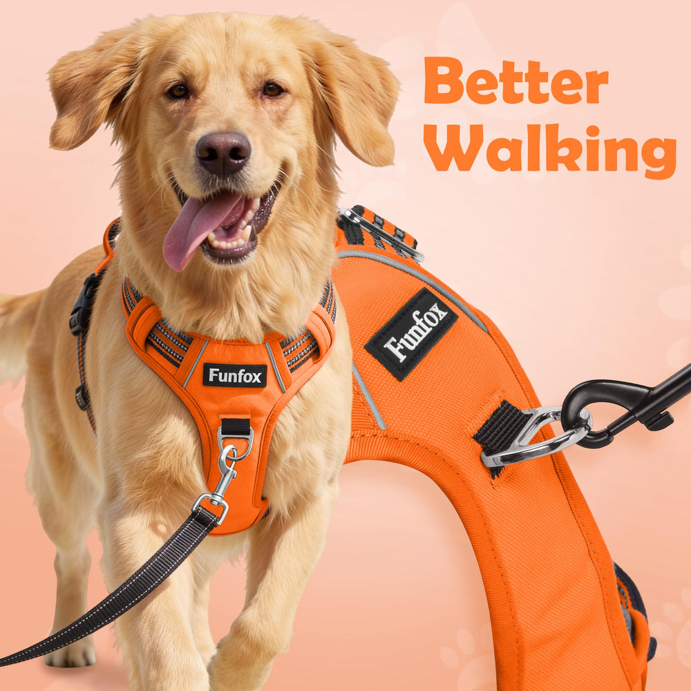 Funfox dog harness detail showing the back leash ring.