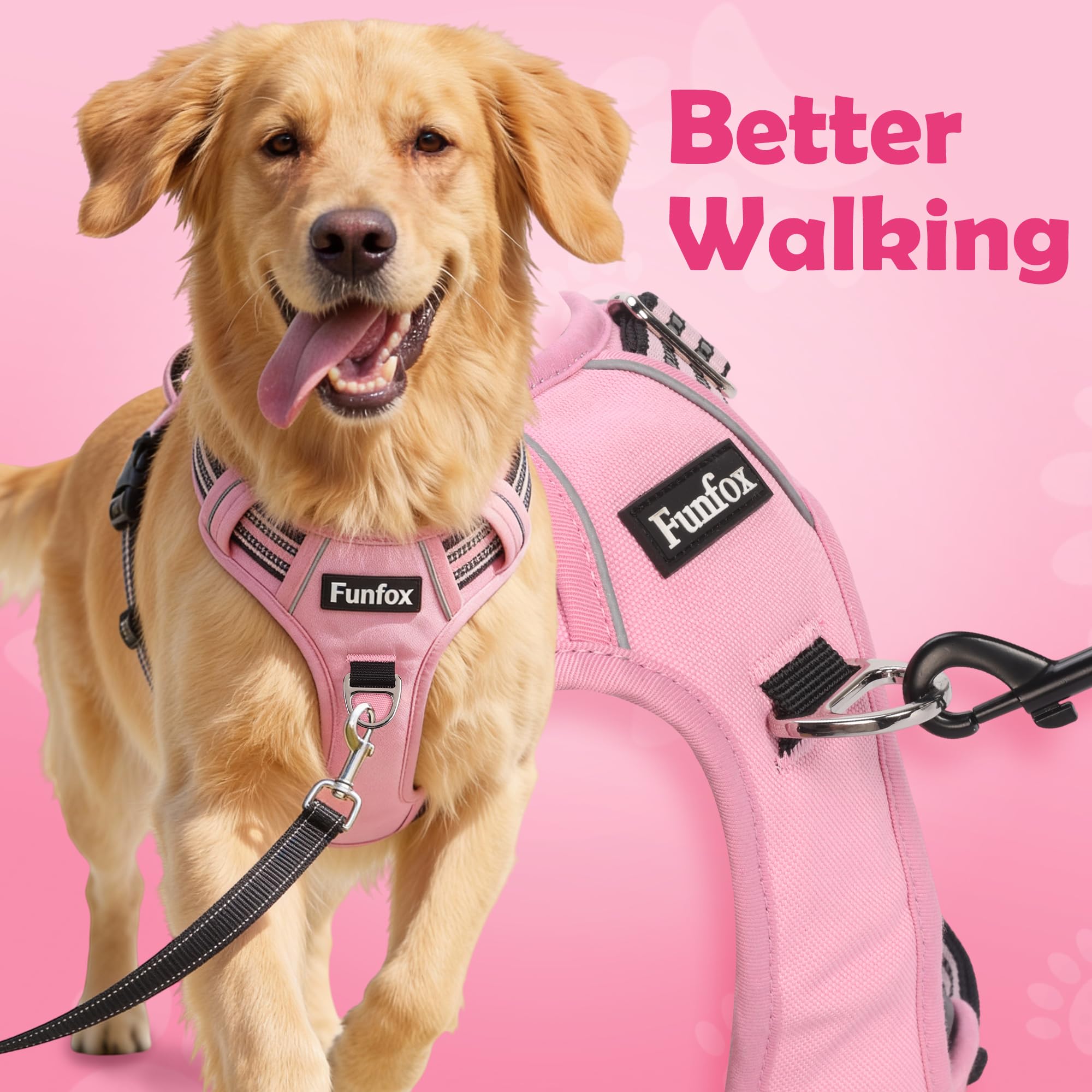 Funfox dog harness back ring for leash attachment during relaxed walks.