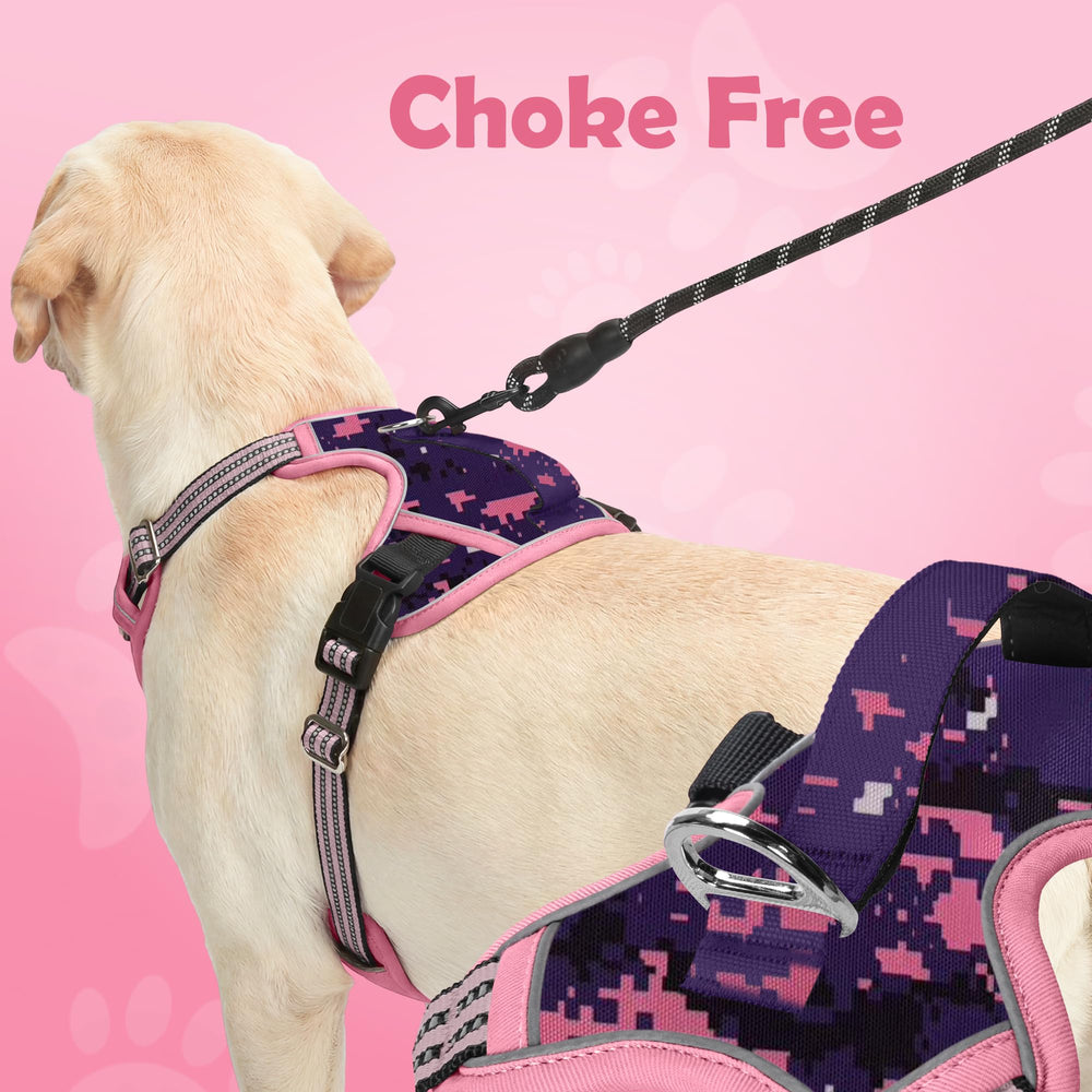 Funfox dog harness close-up of the back leash ring.