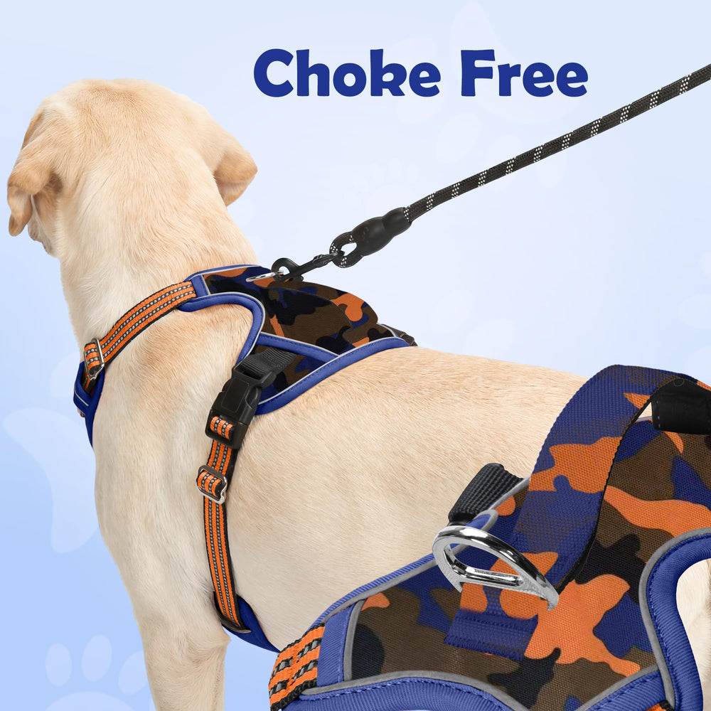 Funfox dog harness close-up of the back leash attachment ring.