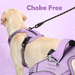 Funfox dog harness back leash ring shown close up.