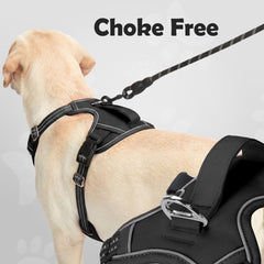 Funfox dog harness detail showing the back leash ring.
