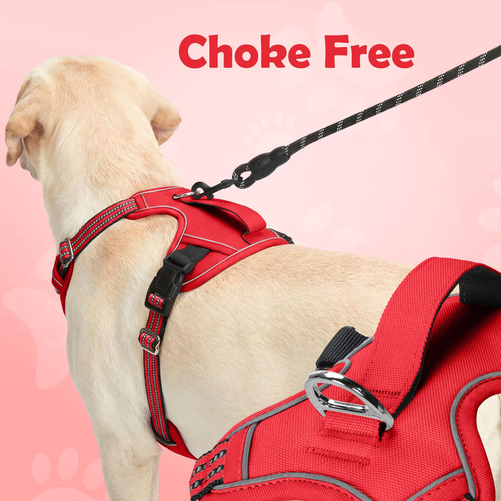 Funfox dog harness showing the back leash attachment ring.