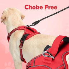 Funfox dog harness showing the back leash attachment ring.