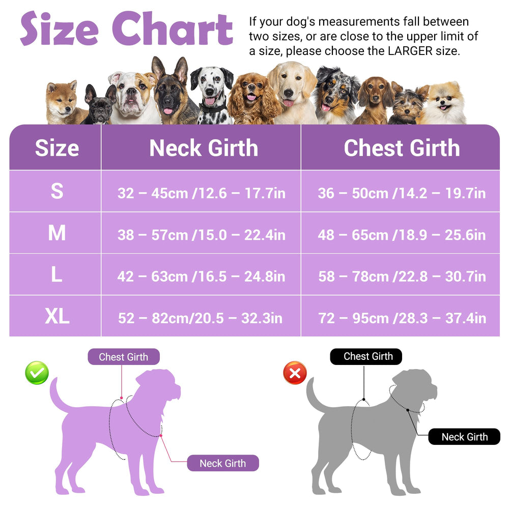 Funfox dog harness shown from the back with its rear leash attachment visible.