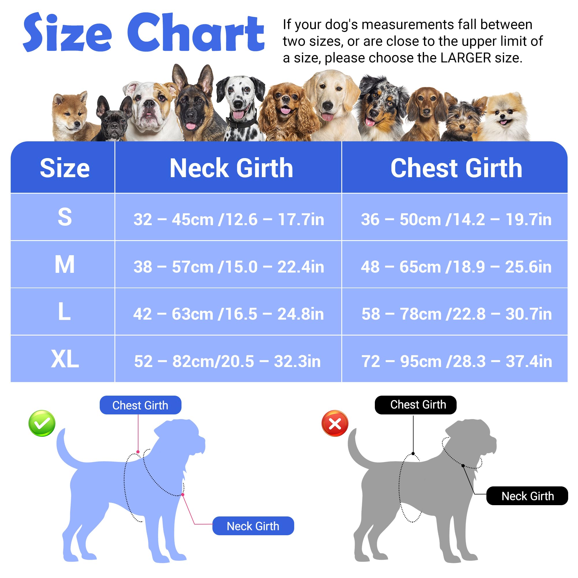 Funfox dog harness shown from the back with its vertical handle visible.