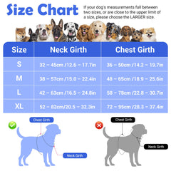 Funfox dog harness shown from the back with its vertical handle visible.