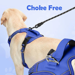 Funfox dog harness detail showing the chest leash ring.