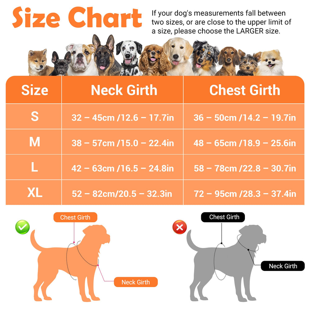 Funfox dog harness close-up showing the front chest leash ring.