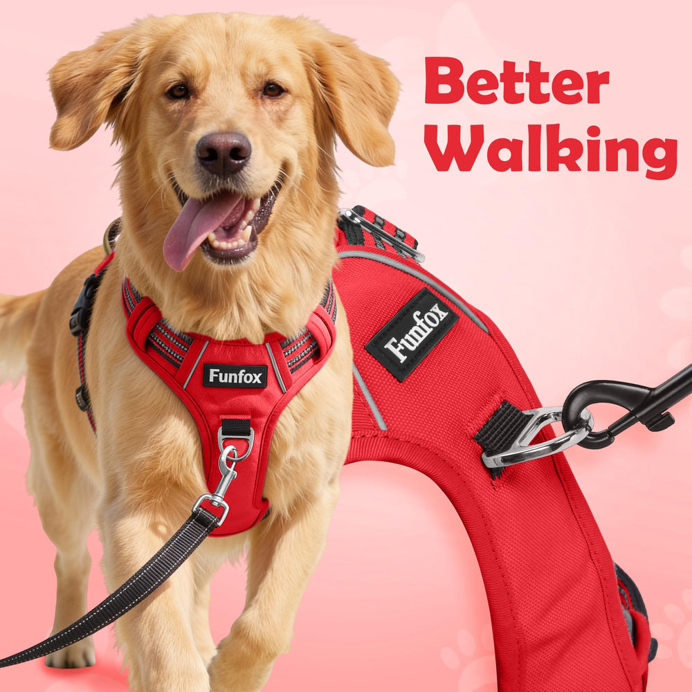 Funfox dog harness showing the front leash attachment ring.