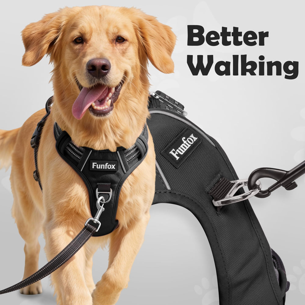 Funfox dog harness close-up showing the front chest leash ring.