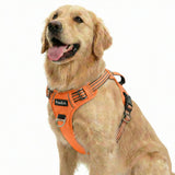 Funfox dog harness shown from the front with its chest panel and straps.