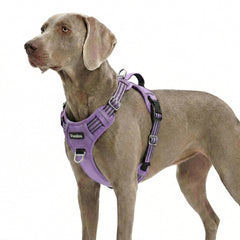 Funfox dog harness shown from the front.