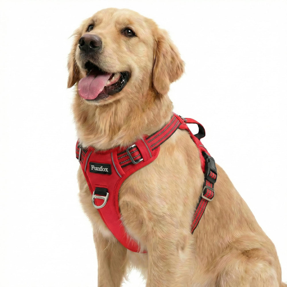 Funfox dog harness shown from the front.