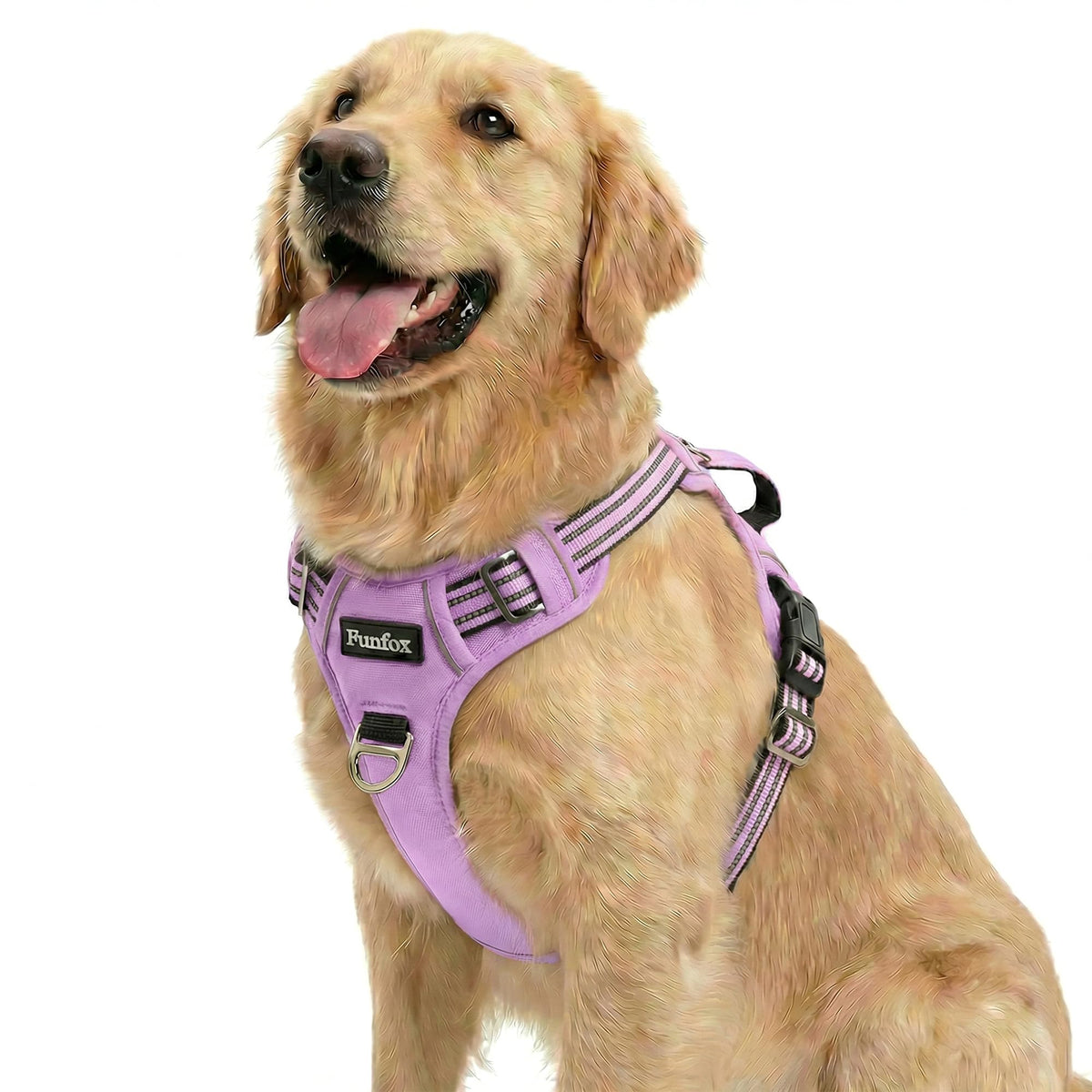 Funfox Dog Harness shown from the front with its vest shape and reflective details.