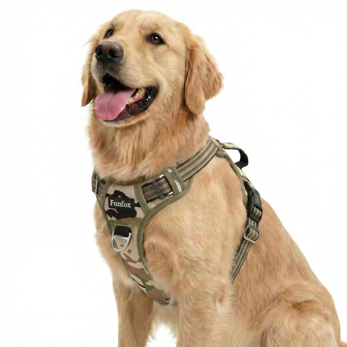 Funfox dog harness shown from the front, highlighting the vest shape and chest area.