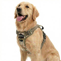 Funfox dog harness shown from the front, highlighting the vest shape and chest area.
