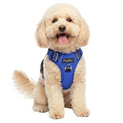 Funfox dog harness shown from the front with its vest shape and straps.