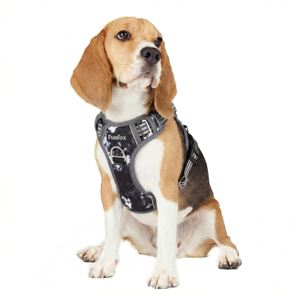 Funfox dog harness shown from the front.