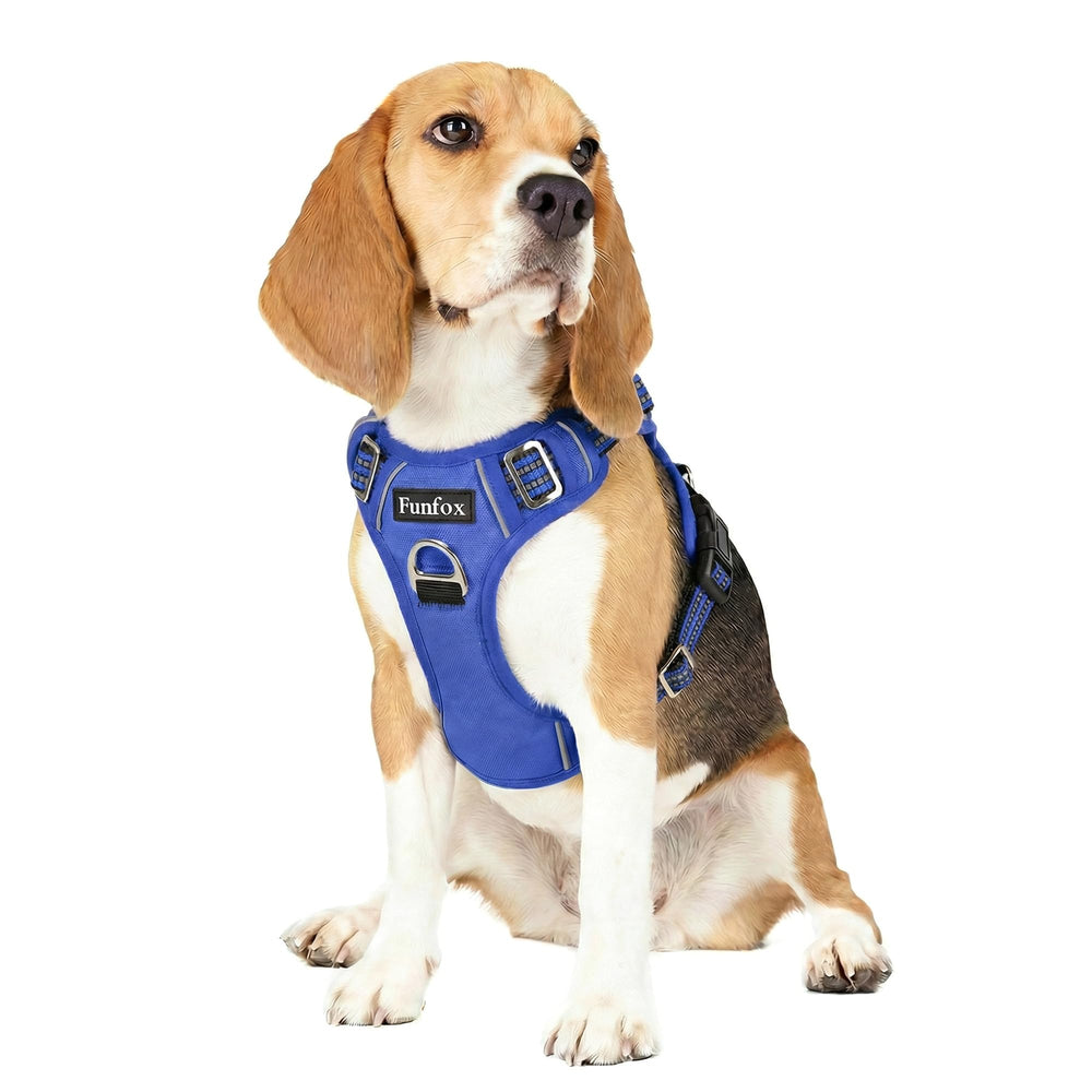 Funfox dog harness shown from the front, highlighting the blue vest shape.