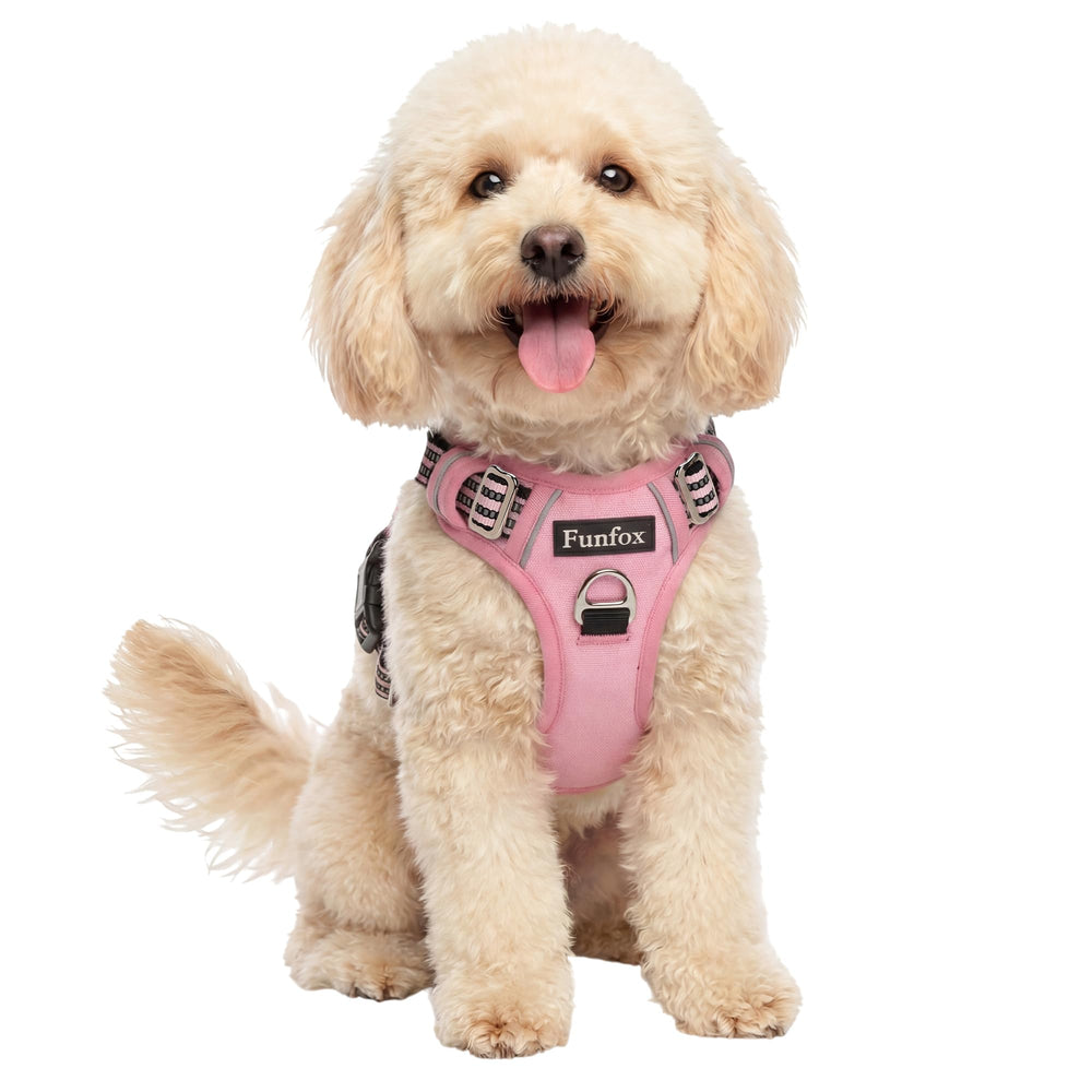 Funfox dog harness shown from the front as a no-pull walking vest.