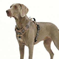 Funfox dog harness shown from the front, highlighting its vest shape and reflective trim.